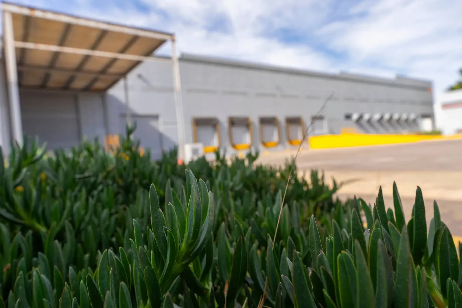 Nave Industrial de 7,991 m² 3